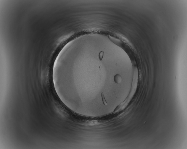 X0000086220588200704191740