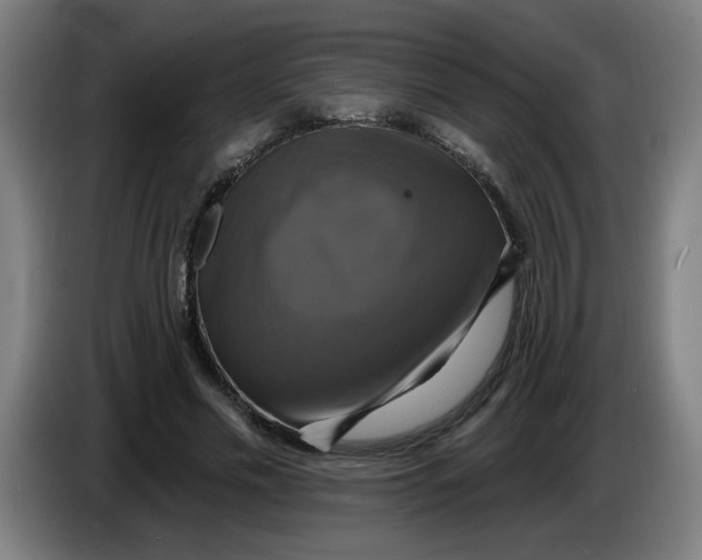 X0000086220589200704191740