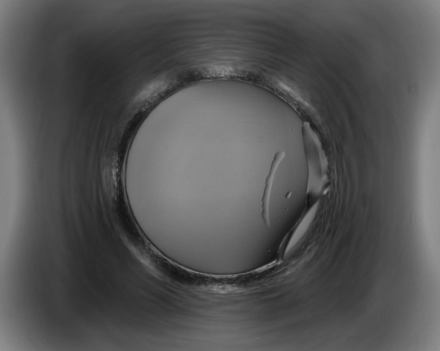 X0000086220590200704191740