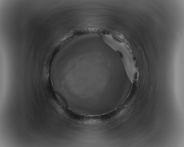 X0000086220593200704191740