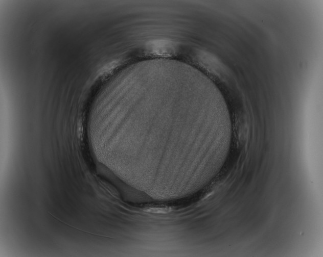 X0000086220595200704191740