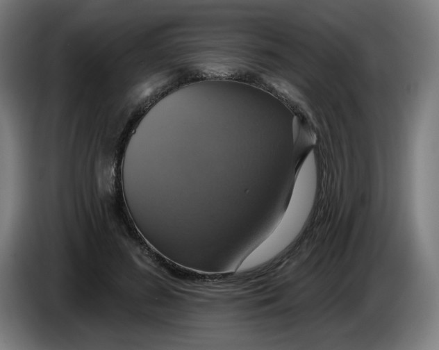 X0000086220596200704191740