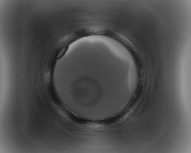 X0000086220597200704191740