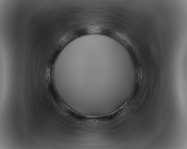 X0000086220598200704191740