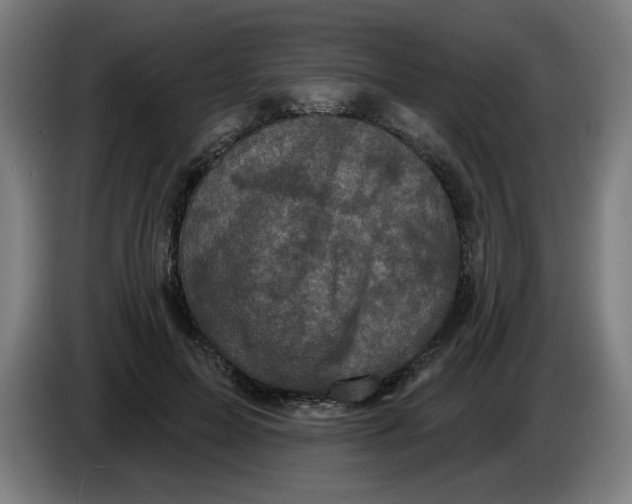 X0000086220599200704191740