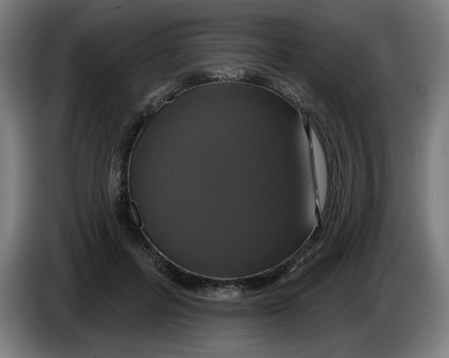 X0000086220600200704191740