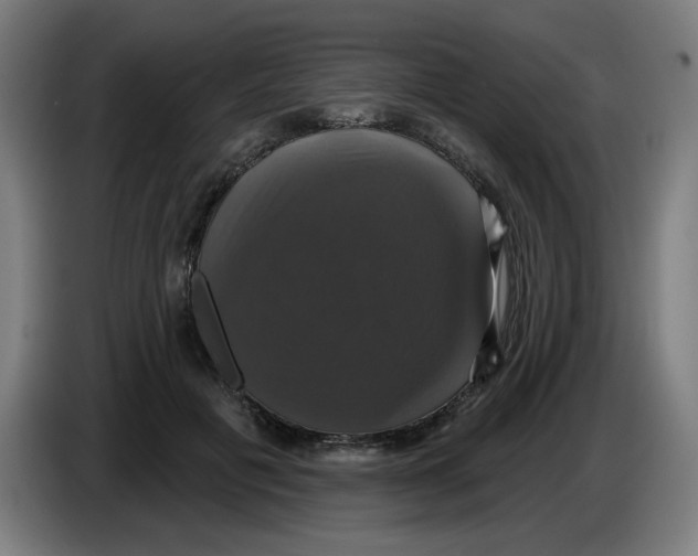 X0000086220601200704191740