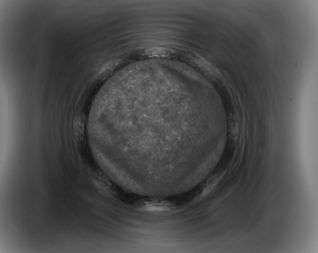 X0000086220603200704191740