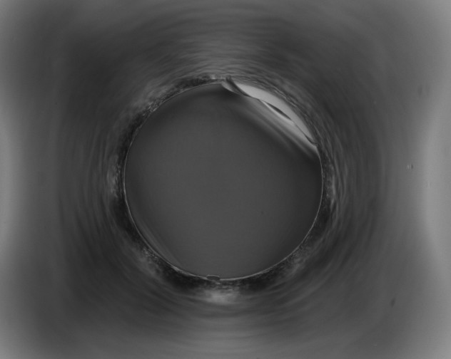 X0000086220604200704191740