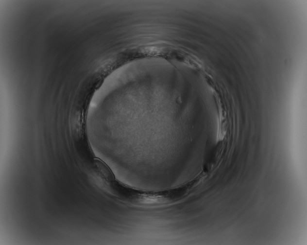 X0000086220605200704191740