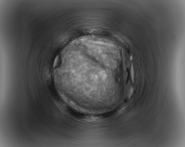 X0000086220607200704191740