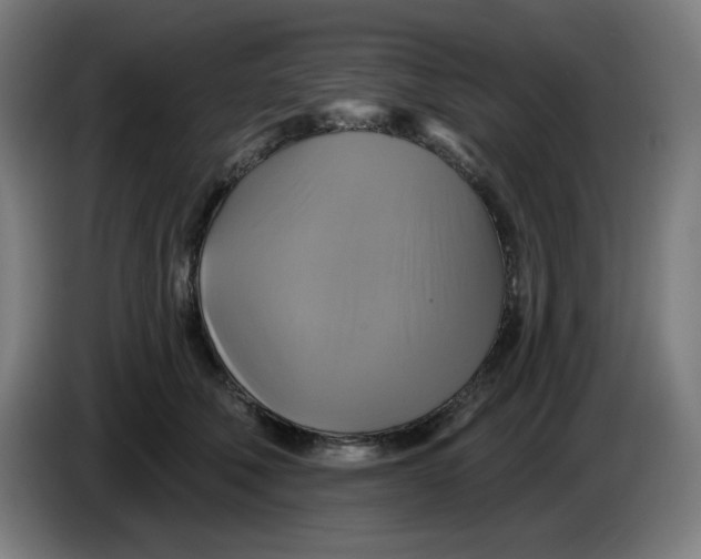 X0000086220610200704191740