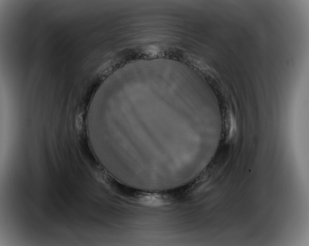 X0000086220611200704191740