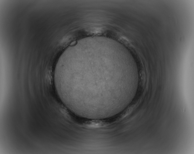 X0000086220612200704191740