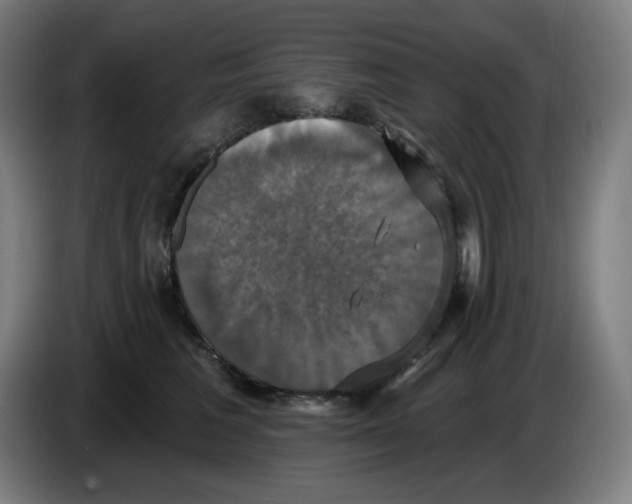 X0000086220613200704191740