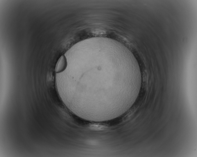 X0000086220614200704191740