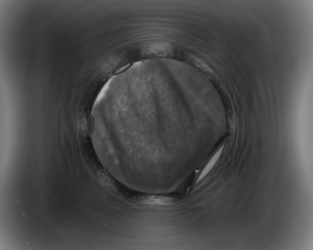 X0000086220617200704191740