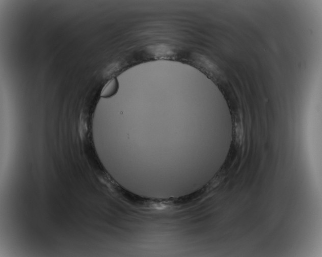 X0000086220618200704191740