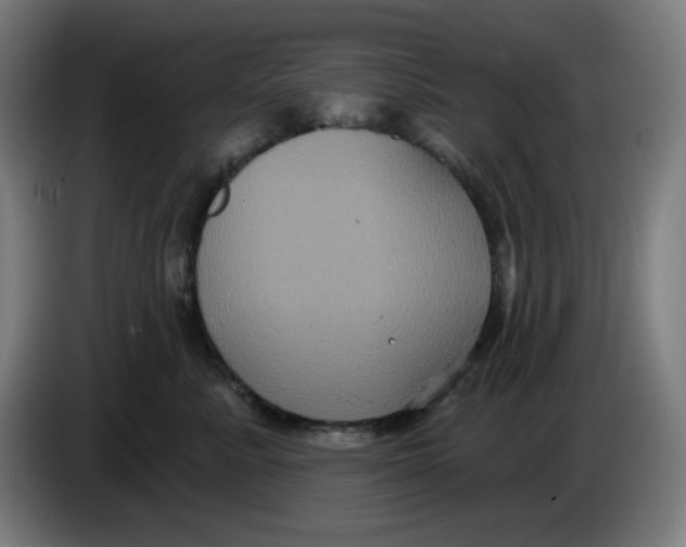 X0000086220619200704191740