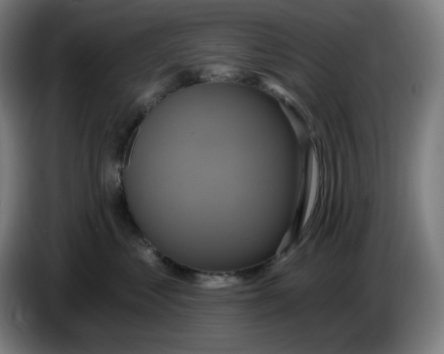 X0000086220621200704191740