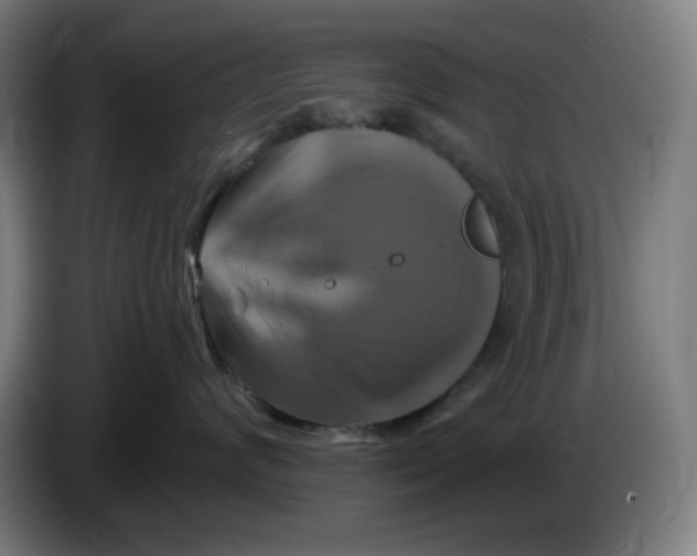 X0000086220624200704191740