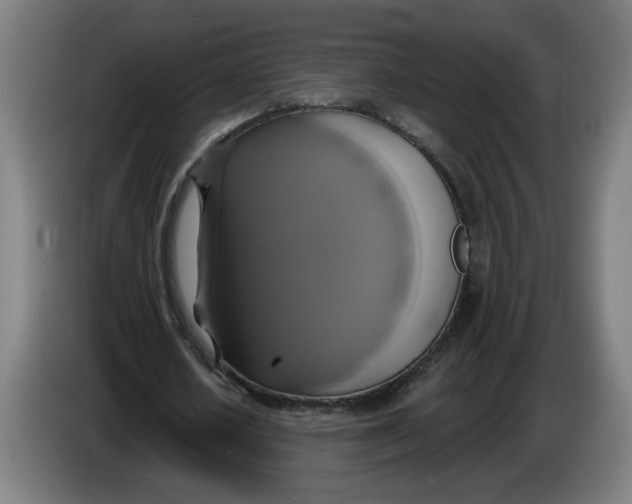 X0000086220626200704191739