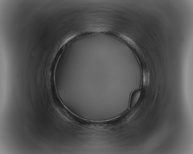 X0000086220627200704191739