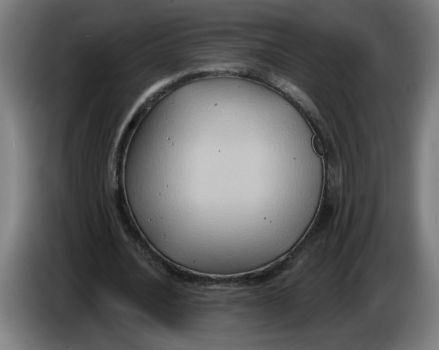 X0000086220628200704191739