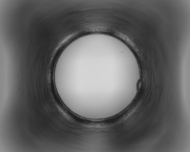 X0000086220629200704191739