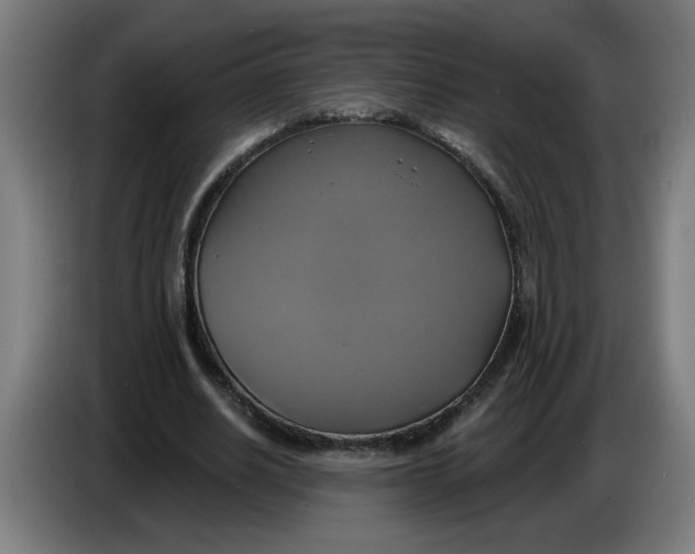 X0000086220630200704191739