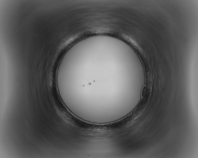 X0000086220631200704191739