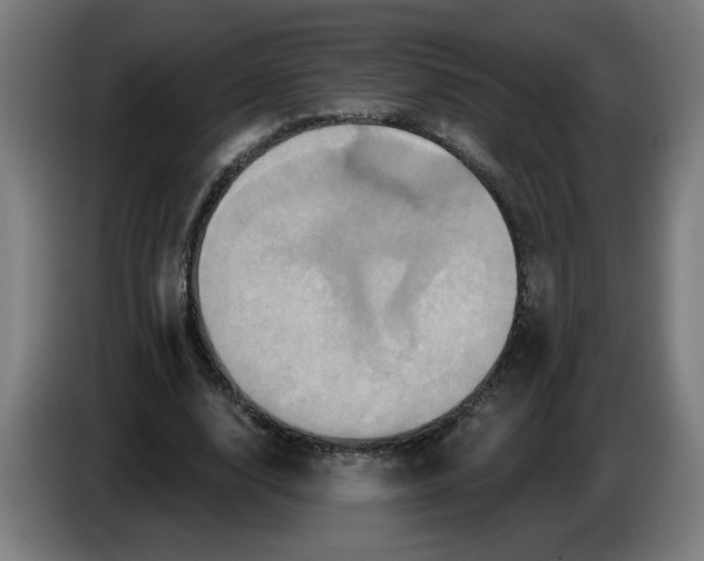 X0000086220632200704191739