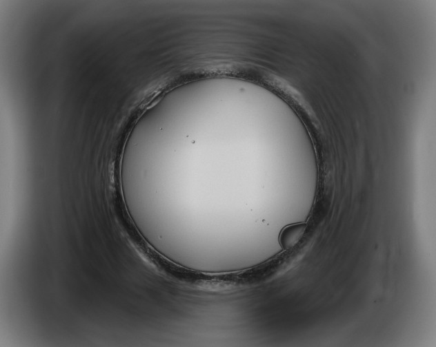 X0000086220633200704191739