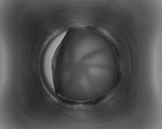 X0000086220634200704191739