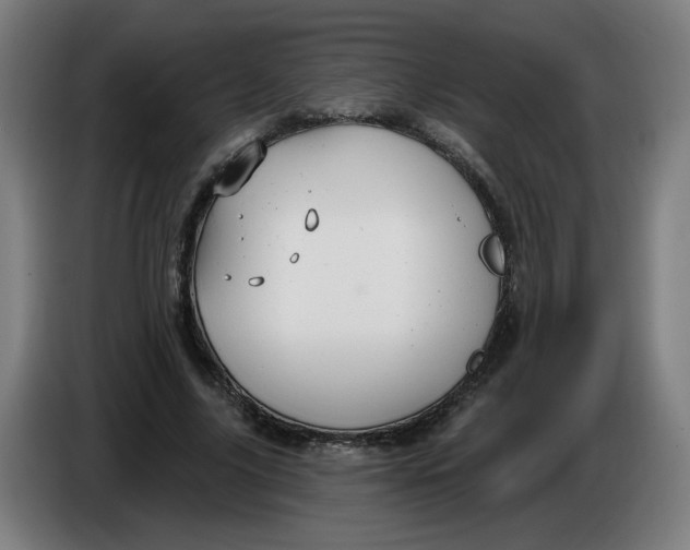 X0000086220635200704191739