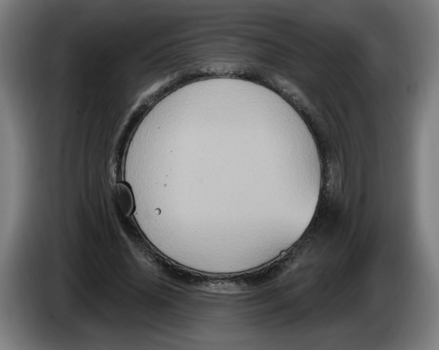 X0000086220636200704191739