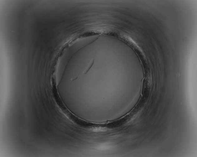 X0000086220637200704191739