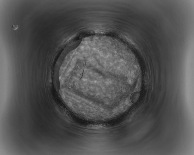 X0000086220639200704191739