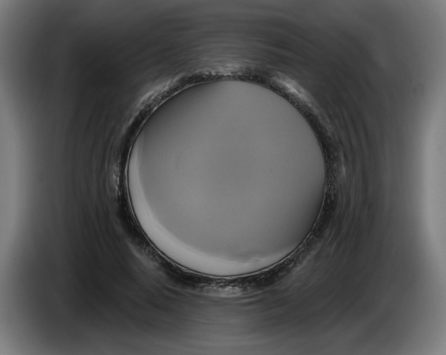 X0000086220640200704191739