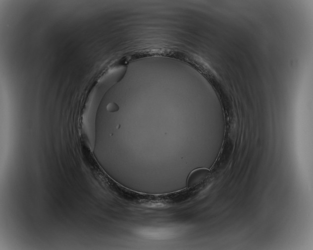 X0000086220643200704191739