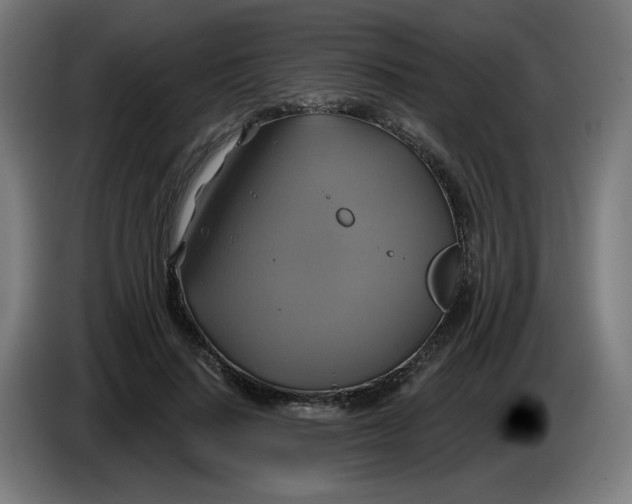 X0000086220644200704191739