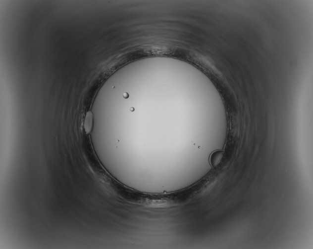 X0000086220645200704191739