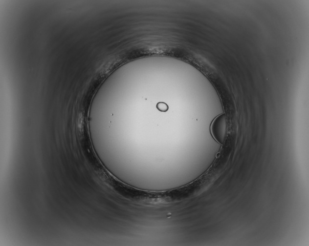 X0000086220646200704191739