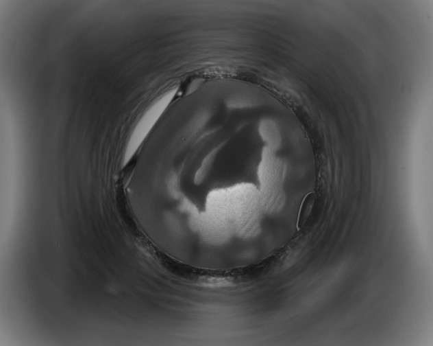 X0000086220649200704191739