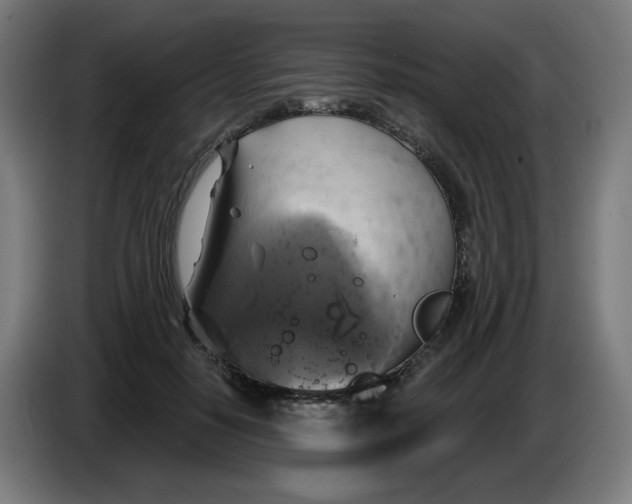 X0000086220650200704191739