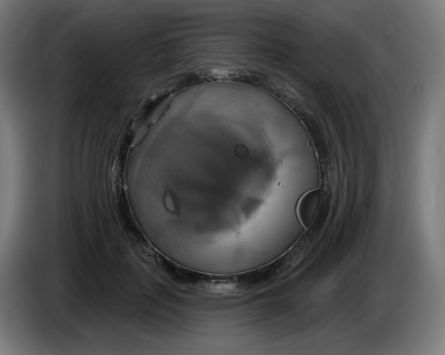 X0000086220651200704191739