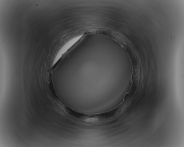 X0000086220653200704191739