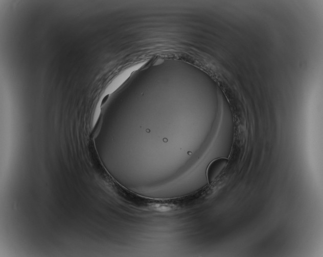 X0000086220654200704191739