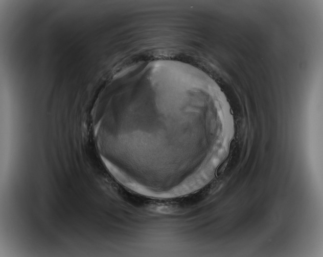 X0000086220655200704191739