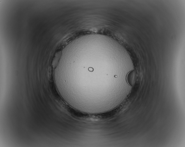 X0000086220656200704191739